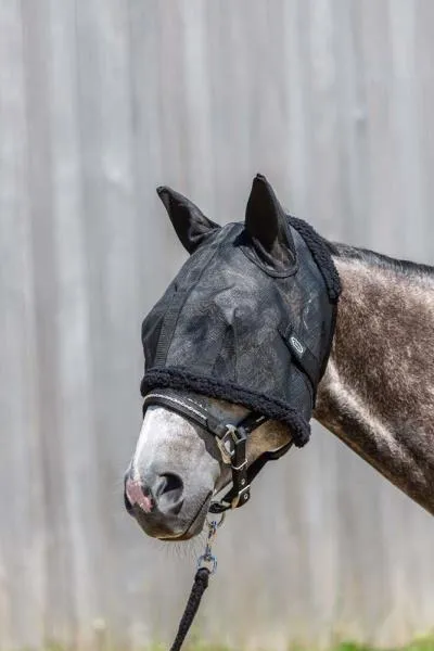 Mesh Fly Mask